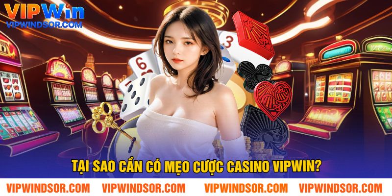 Tại sao cần có mẹo cược casino Vipwin